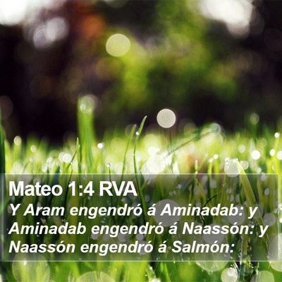 Mateo 1:4 RVA Bible Verse Image