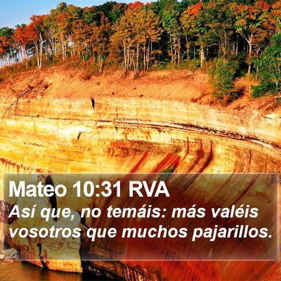Mateo 10:31 RVA Bible Verse Image