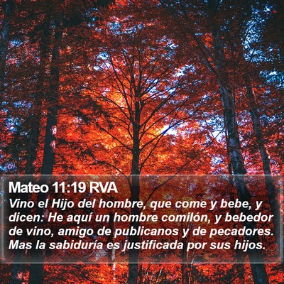 Mateo 11:19 RVA Bible Verse Image