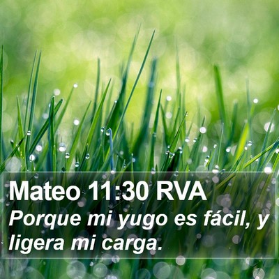 Mateo 11:30 RVA Bible Verse Image