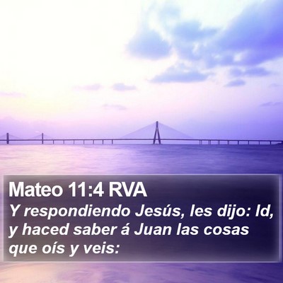Mateo 11:4 RVA Bible Verse Image