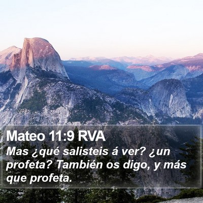 Mateo 11:9 RVA Bible Verse Image
