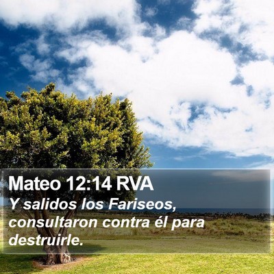 Mateo 12:14 RVA Bible Verse Image