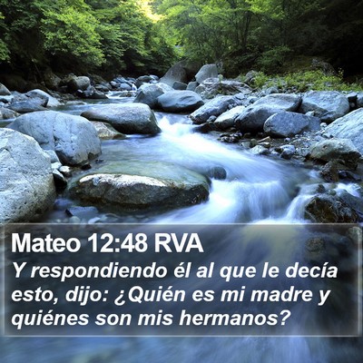 Mateo 12:48 RVA Bible Verse Image