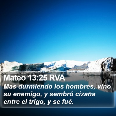Mateo 13:25 RVA Bible Verse Image