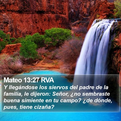 Mateo 13:27 RVA Bible Verse Image