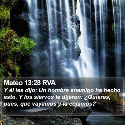 Mateo 13:28 RVA Bible Verse Image