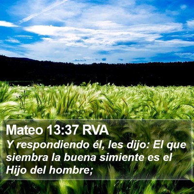 Mateo 13:37 RVA Bible Verse Image