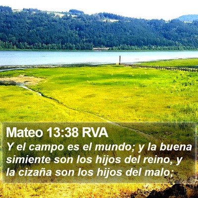 Mateo 13:38 RVA Bible Verse Image