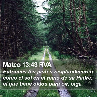 Mateo 13:43 RVA Bible Verse Image