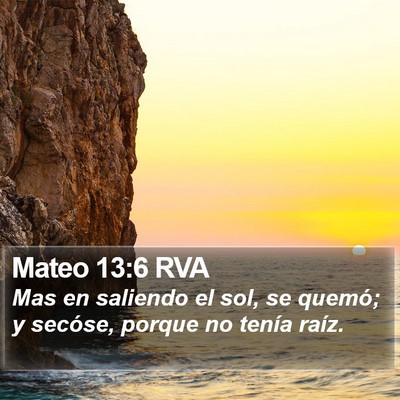 Mateo 13:6 RVA Bible Verse Image