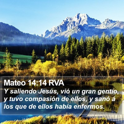 Mateo 14:14 RVA Bible Verse Image