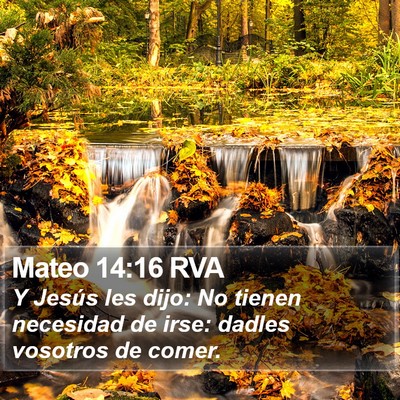 Mateo 14:16 RVA Bible Verse Image