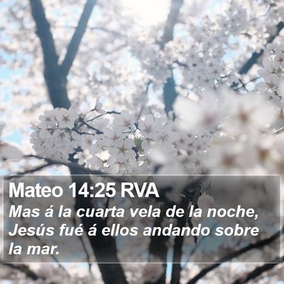 Mateo 14:25 RVA Bible Verse Image