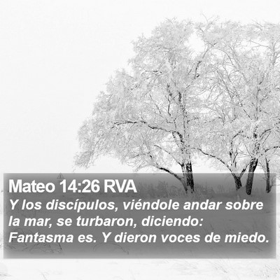Mateo 14:26 RVA Bible Verse Image