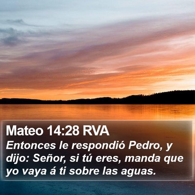 Mateo 14:28 RVA Bible Verse Image