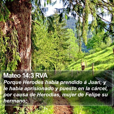 Mateo 14:3 RVA Bible Verse Image
