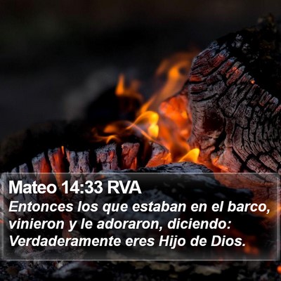 Mateo 14:33 RVA Bible Verse Image