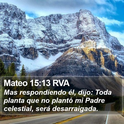 Mateo 15:13 RVA Bible Verse Image