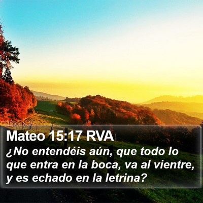 Mateo 15:17 RVA Bible Verse Image