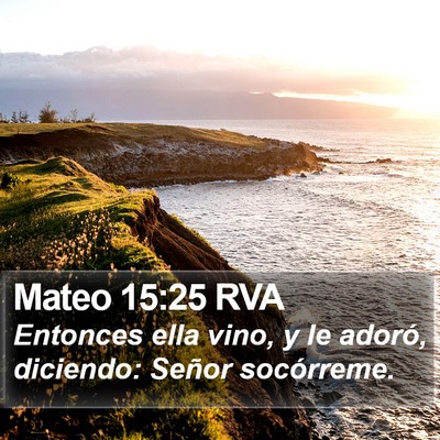 Mateo 15:25 RVA Bible Verse Image