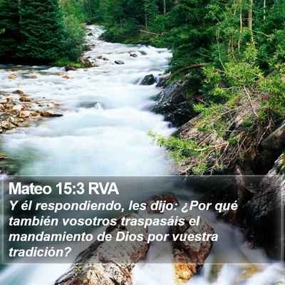 Mateo 15:3 RVA Bible Verse Image