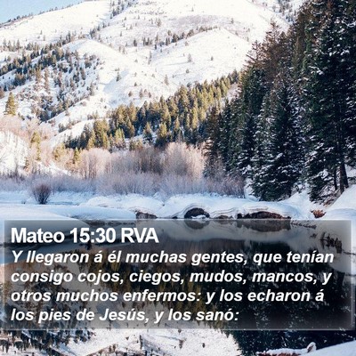 Mateo 15:30 RVA Bible Verse Image