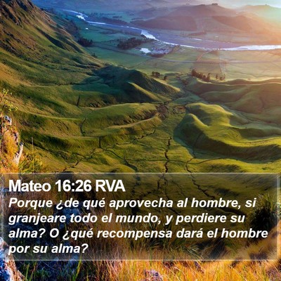 Mateo 16:26 RVA Bible Verse Image