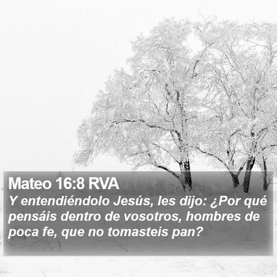 Mateo 16:8 RVA Bible Verse Image