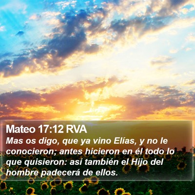 Mateo 17:12 RVA Bible Verse Image