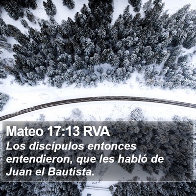 Mateo 17:13 RVA Bible Verse Image