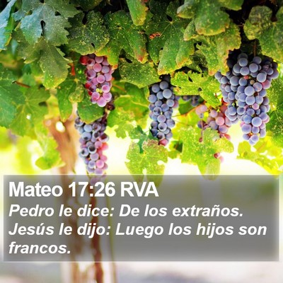 Mateo 17:26 RVA Bible Verse Image