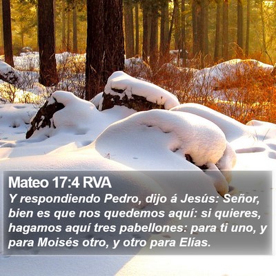 Mateo 17:4 RVA Bible Verse Image