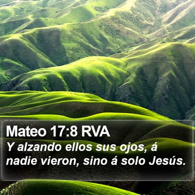 Mateo 17:8 RVA Bible Verse Image