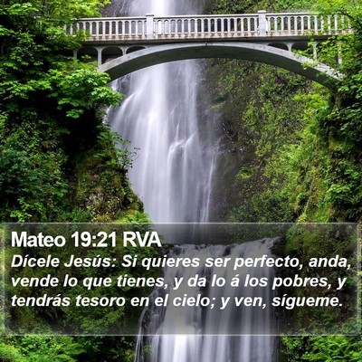 Mateo 19:21 RVA Bible Verse Image