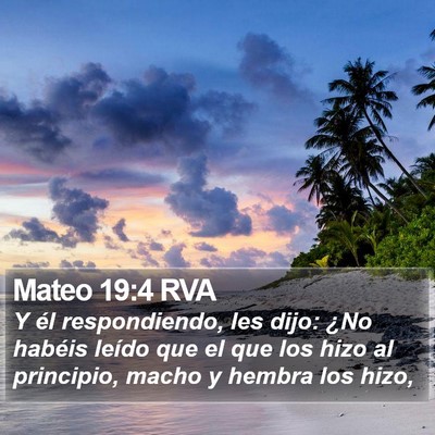 Mateo 19:4 RVA Bible Verse Image
