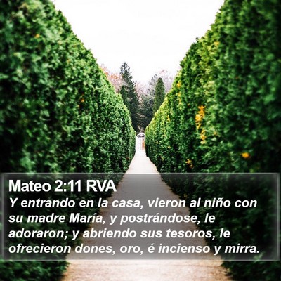 Mateo 2:11 RVA Bible Verse Image