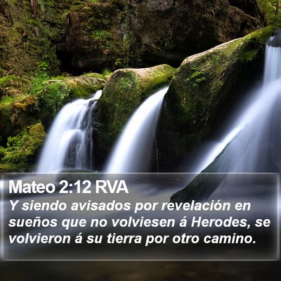 Mateo 2:12 RVA Bible Verse Image