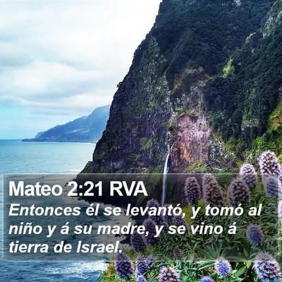 Mateo 2:21 RVA Bible Verse Image