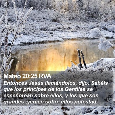 Mateo 20:25 RVA Bible Verse Image