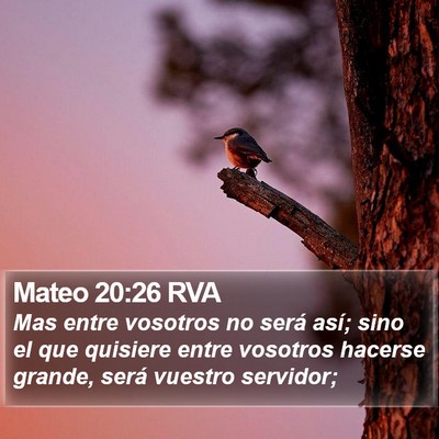 Mateo 20:26 RVA Bible Verse Image