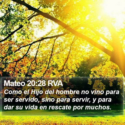 Mateo 20:28 RVA Bible Verse Image