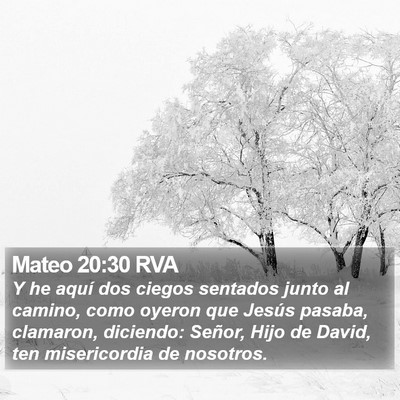 Mateo 20:30 RVA Bible Verse Image