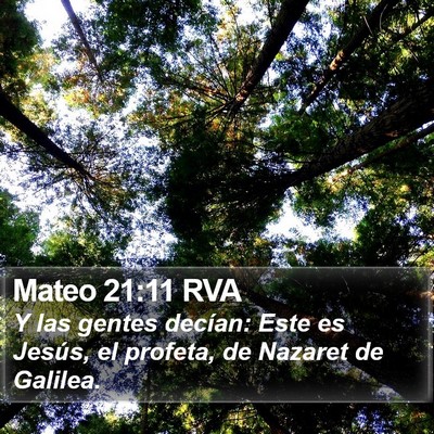 Mateo 21:11 RVA Bible Verse Image