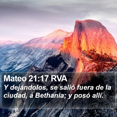 Mateo 21:17 RVA Bible Verse Image