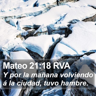 Mateo 21:18 RVA Bible Verse Image
