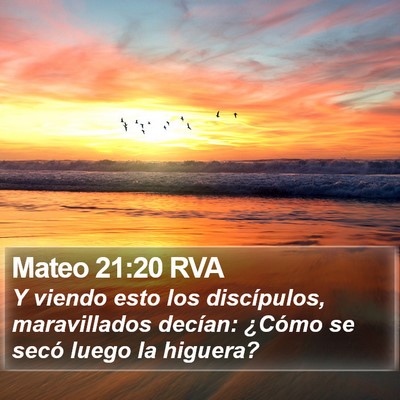Mateo 21:20 RVA Bible Verse Image