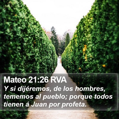 Mateo 21:26 RVA Bible Verse Image