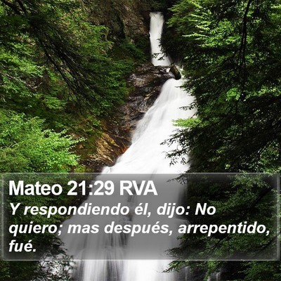 Mateo 21:29 RVA Bible Verse Image