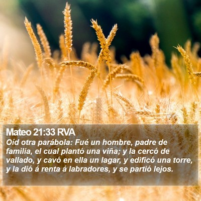 Mateo 21:33 RVA Bible Verse Image